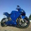 zerf2004